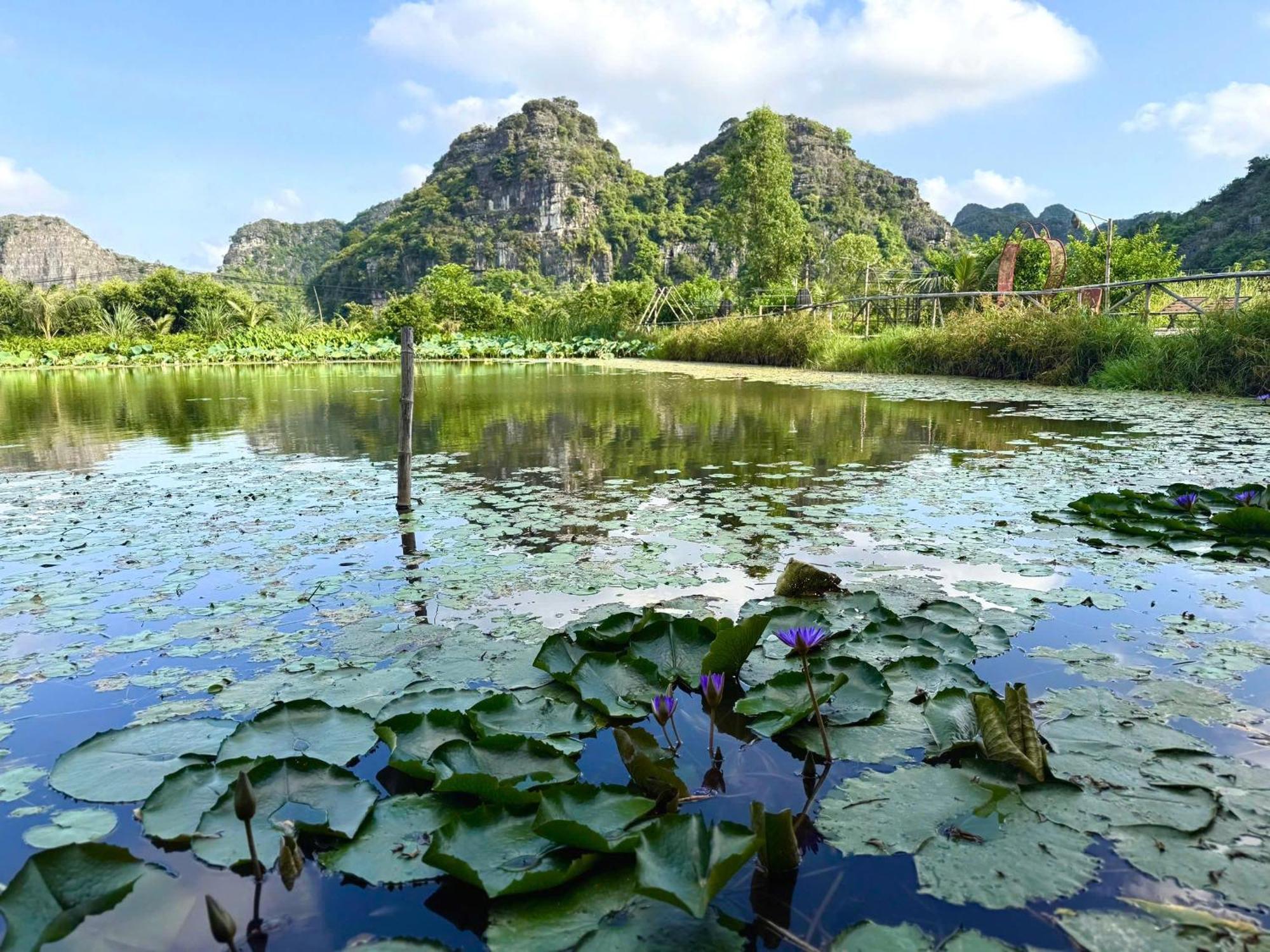 Trang An Legend * Ninh Bình